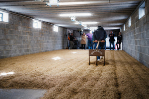 Scotch Whisky Distilleries with On-Site Floor Maltings