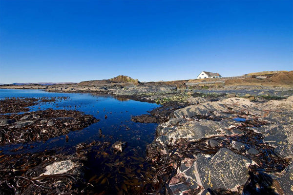 Arniston House: Rooted in Scottish History